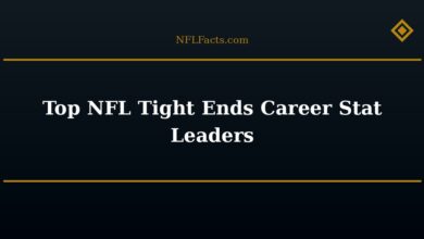 Top NFL Tight Ends Career Stat Leaders