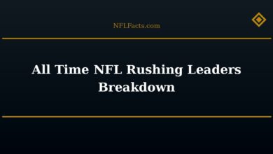 All Time NFL Rushing Leaders Breakdown