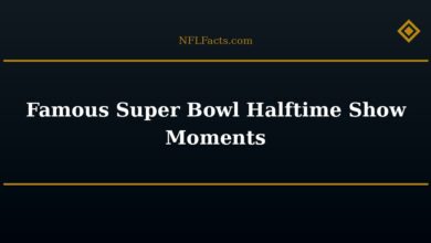 Famous Super Bowl Halftime Show Moments