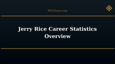 Jerry Rice Career Statistics Overview