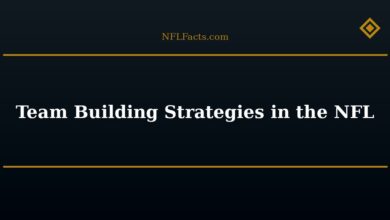 Team Building Strategies in the NFL