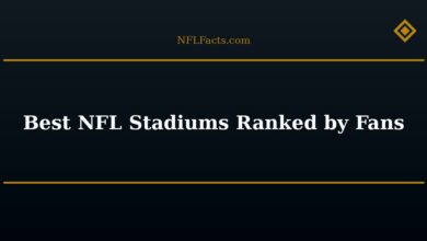 Best NFL Stadiums Ranked by Fans